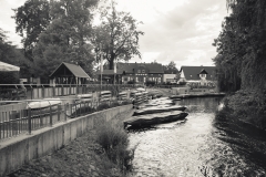 Burg