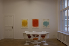 DSCF8446