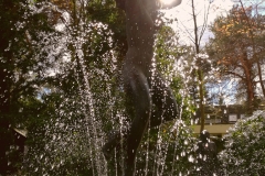 Die Tänzerin Brunnen